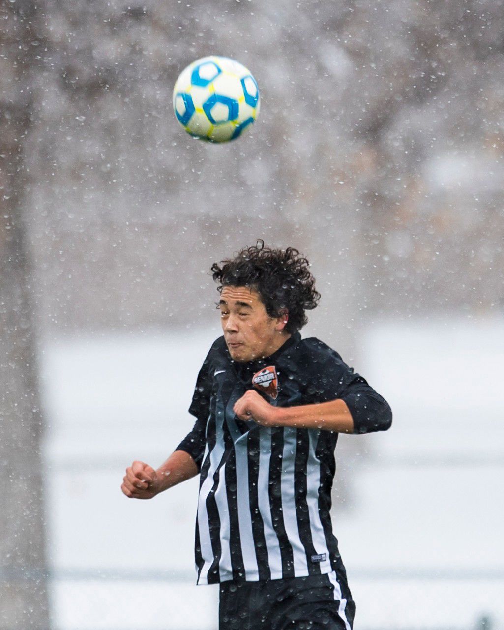 Senior vs. Glacier